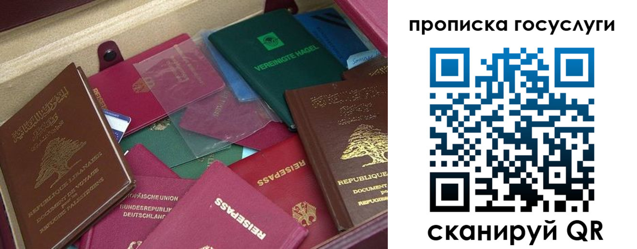 прописка гарантия в Реутове